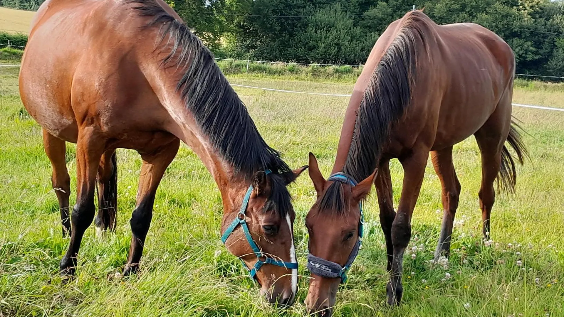 Prázdninový dům Gite A La Ferme Ploubezre