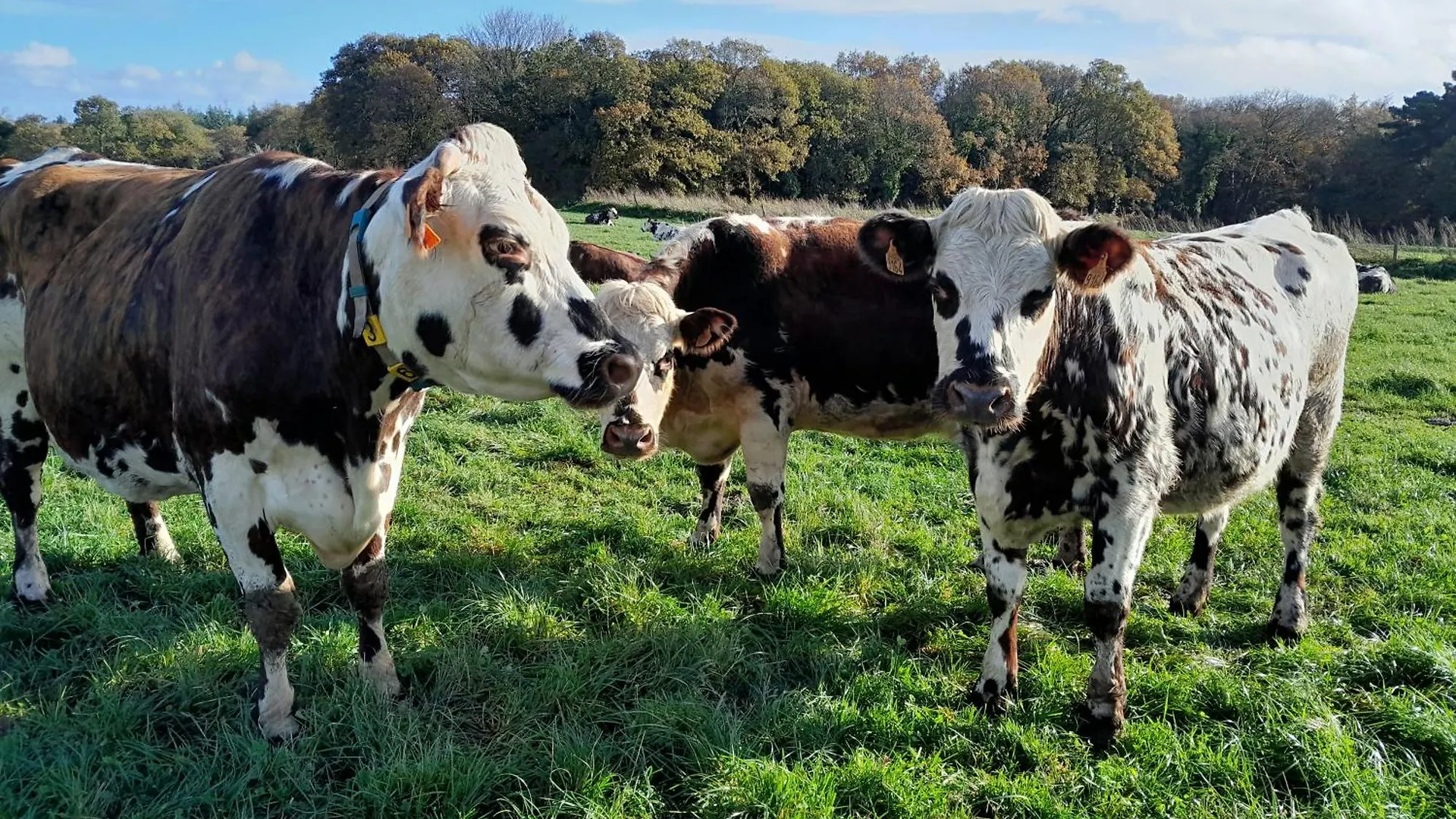 Gite A La Ferme Ploubezre Francie